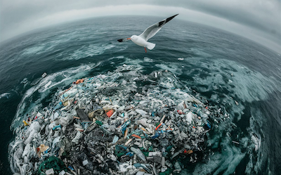 the great pacific garbage