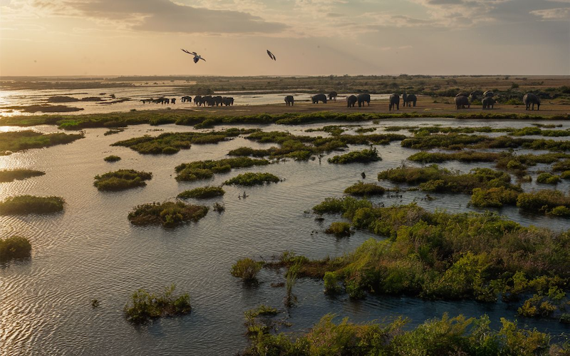 100 fun facts about earth - the Okavango Delta 