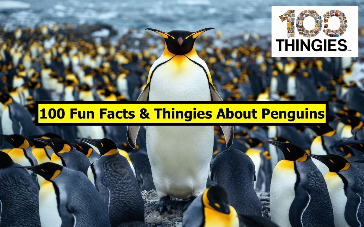 100 Thingies You Probably Didn't Know About Penguins - 100thingies.com